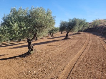 Land in Mesegar de Tajo