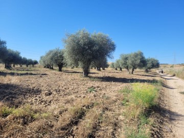 Terrenos en Cazalegas