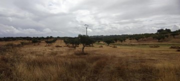 Terrenos en Garrovillas de Alconétar