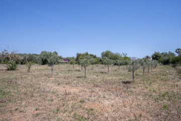 Casas rústicas en Pollença