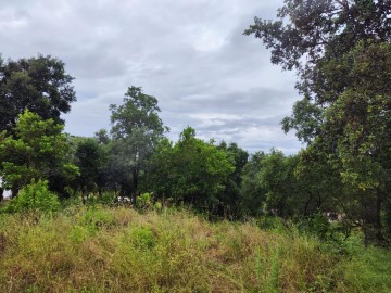 Terre à Selva Brava