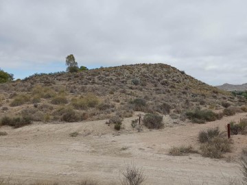 Land in La Alcoraya