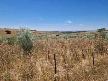 Terrenos en Oliva de Mérida