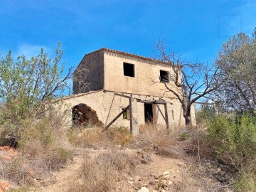 Terre à Benimeit