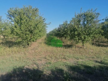 Terrenos en Torremayor