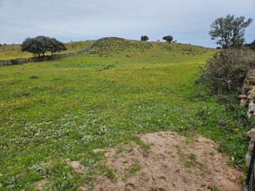 Terre à Navas del Madroño