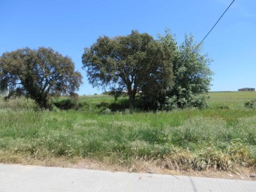 Terreno em Urbanització Mallorquines