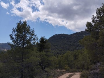 Terrenos en Fuentespalda