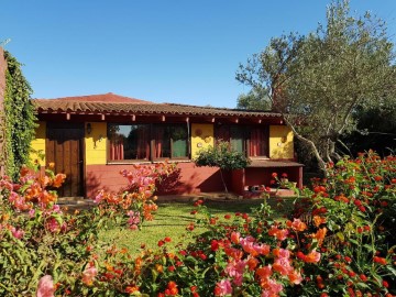 Casas rústicas 9 Habitaciones en Carmona