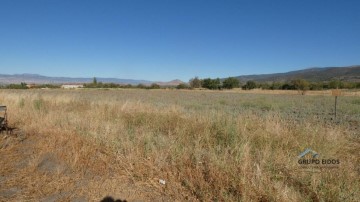 Terrenos en Cogollos de Guadix