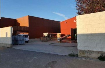 Industrial building / warehouse in Pesquera de Duero
