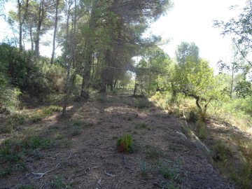 Land in Alcalalí