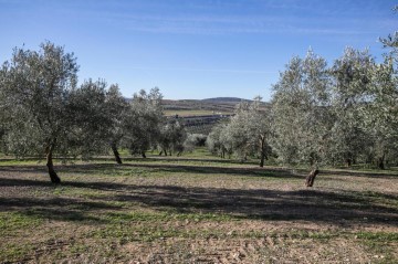 Terre à Cuesta Blanca