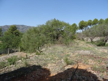 Land in Alcalalí