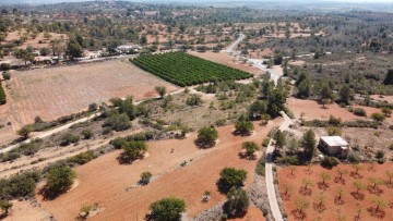 Terreno em Cheste