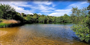 Terrenos en Aiguaviva Parc