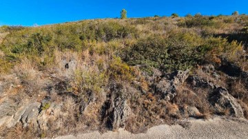 Terrenos en Oliva pueblo