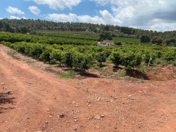 Terrenos en Torres-Torres