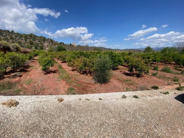 Terrenos en Torres-Torres