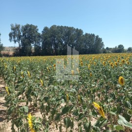 Terrenos en Corrales