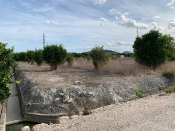 Terreno em Manuel