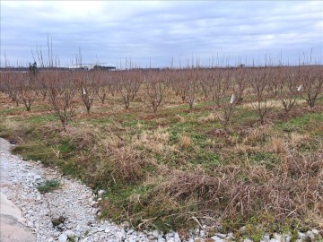 Terreno em Partida la garrofera