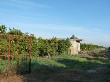 Terrenos en Oliva pueblo