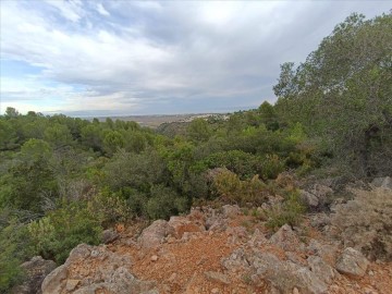 Terrenos en Urbanización L'Almunia