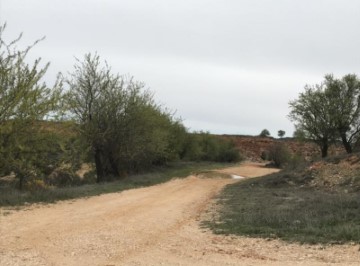 Terrenos en Cerro de Miralbueno