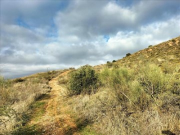 Terrenos en Cerro de Miralbueno