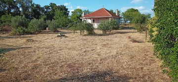 Apartamento 4 Quartos em Monte Acevedo