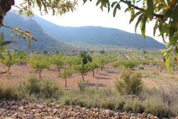 Terrenos en Hondón de los Frailes