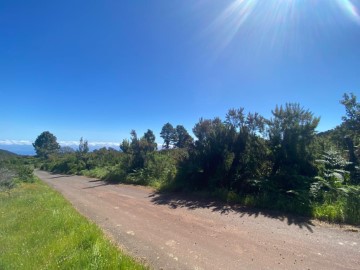 Terrenos en Roque del Faro