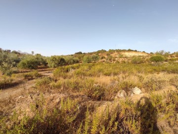 Terrenos en Campo de Cámara