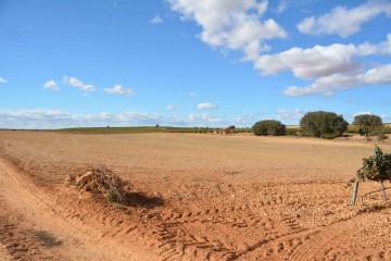 Land in Casas de Juan Fernández