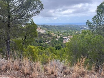 Terre à Callosa d'En Sarrià