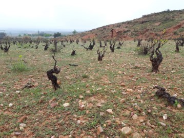 Terreno em Cervera de la Cañada