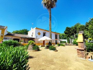 Casa o chalet 5 Habitaciones en Villanueva del Ariscal