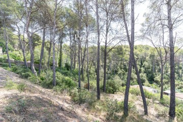 Terre à Sant Muç - Castellnou - Can Mir