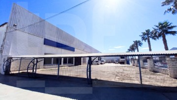 Industrial building / warehouse in Carlet