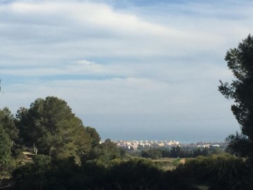 Terrenos en El Castell de Cubelles