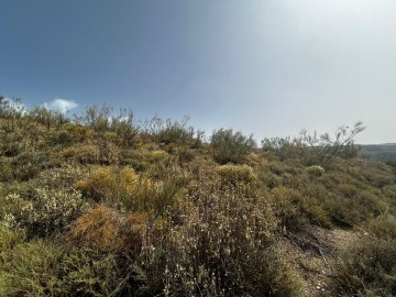 Terreno em Alcolea