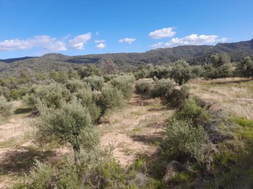 Terre à Vinebre