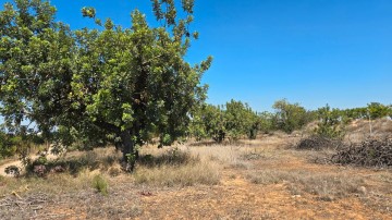 Terrenos en Barri Sant Josep Artesa