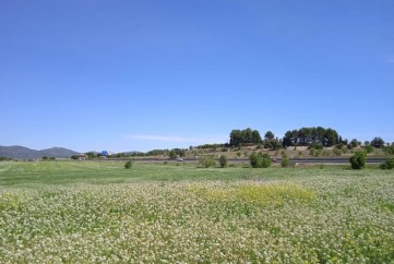 Terrenos en Agullent