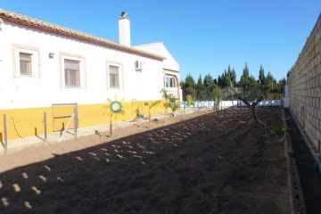 Casa o chalet 4 Habitaciones en Platja de Oliva