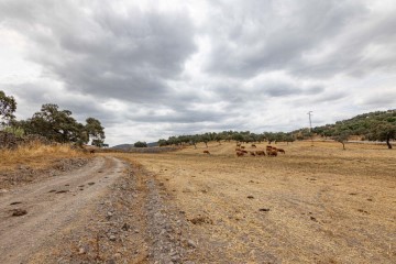 Casas rústicas en Cañaveral de León