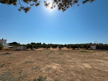 Terrenos en La Yedra