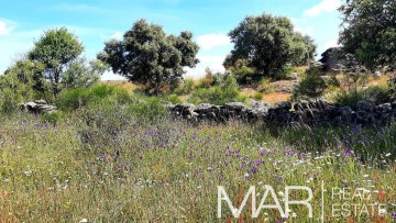 Terreno em Villar del Pedroso