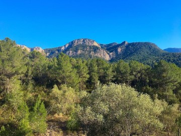 Terrenos en Benifallet